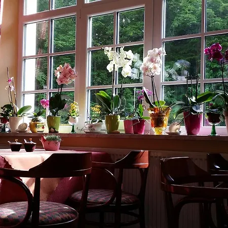 Rhoen Waldcafe St. Georg 4* 스타츠바드브루케나우