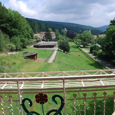 Hotel Rhön Waldcafé St. Georg
