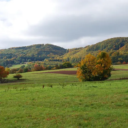 Hotel Rhön Waldcafé St. Georg Staatsbad Brückenau
