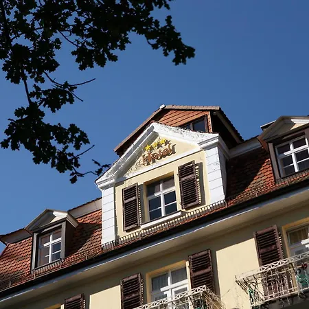 Hotel Rhön Waldcafé St. Georg 4*