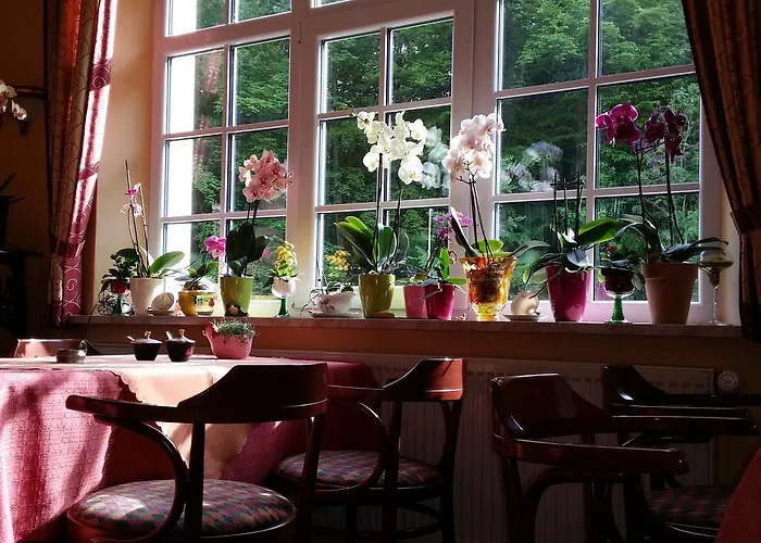 Rhön Waldcafé St. Georg 4* Staatsbad Brückenau