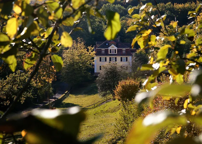 Rhön Waldcafé St. Georg 4*