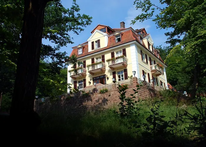 Rhön Waldcafé St. Georg Szálloda