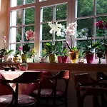 Rhon Waldcafe St. Georg 4* Staatsbad Bruckenau