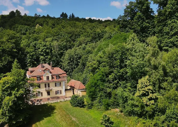 Rhoen Waldcafe St. Georg 4*