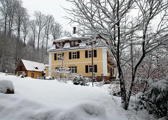 Rhoen Waldcafe St. Georg ستاتسباد بروكينو